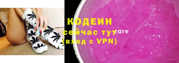 дмт Карпинск