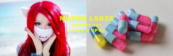 дмт Карпинск