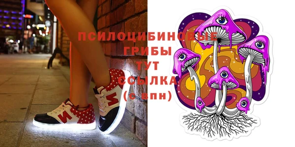 МДПВ Карталы