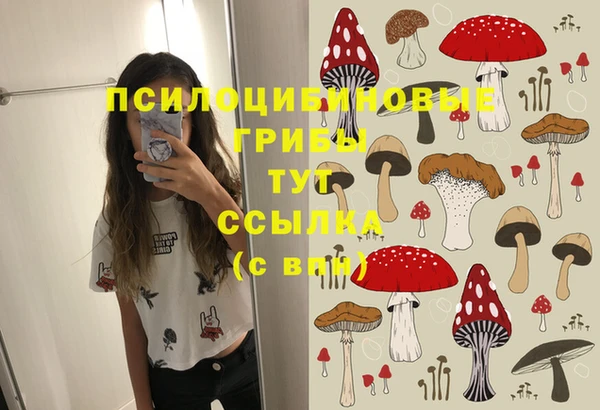 МДПВ Карталы