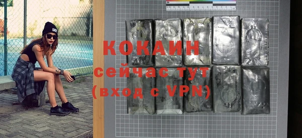дмт Карпинск