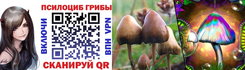 Псилоцибиновые грибы прущие грибы Кандалакша
